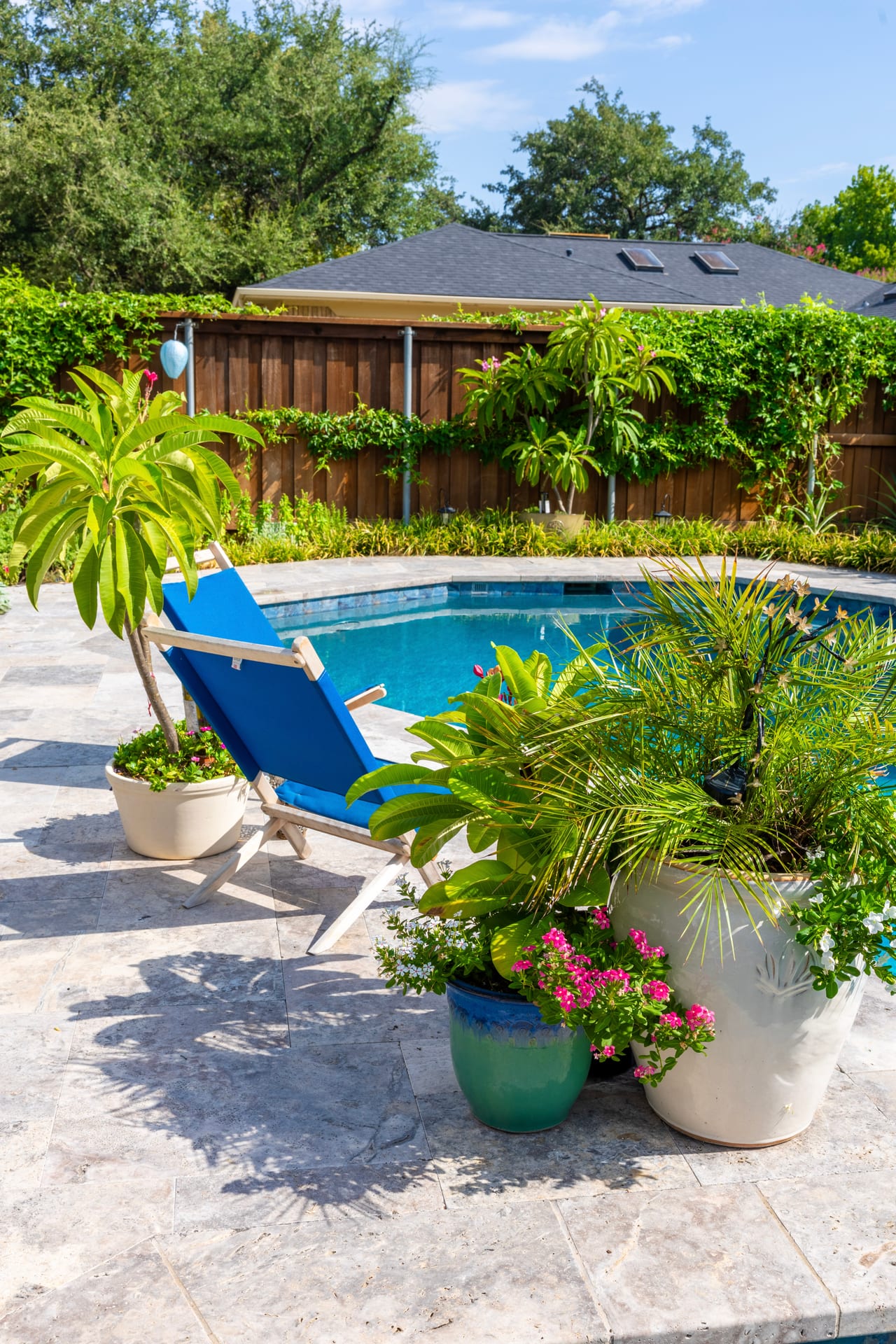 Pool and spa project photo 8